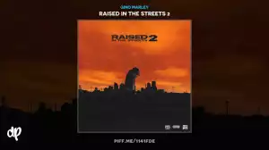 Raised In The Streets 2 BY Gino Marley